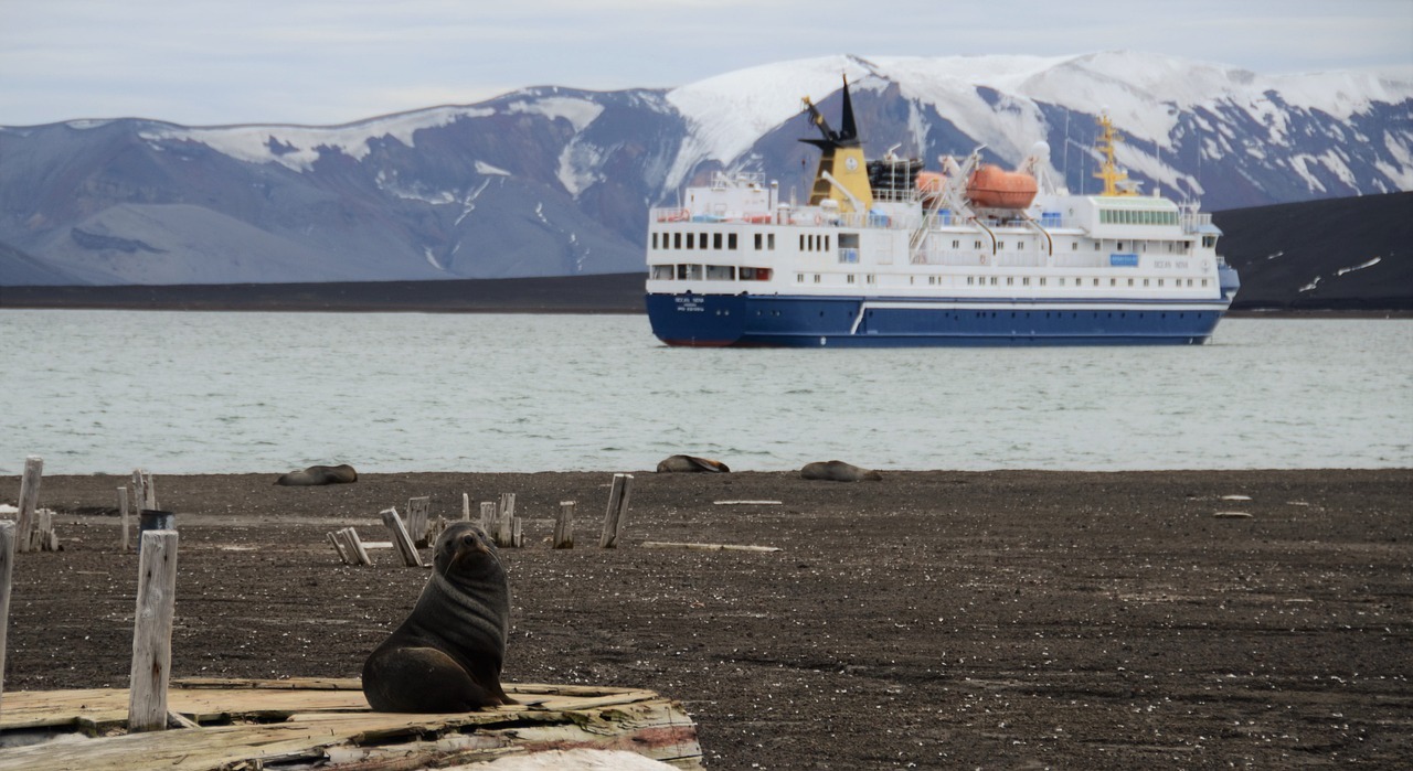 A seal sitting on a beach next to a boat
AI-generated content may be incorrect.