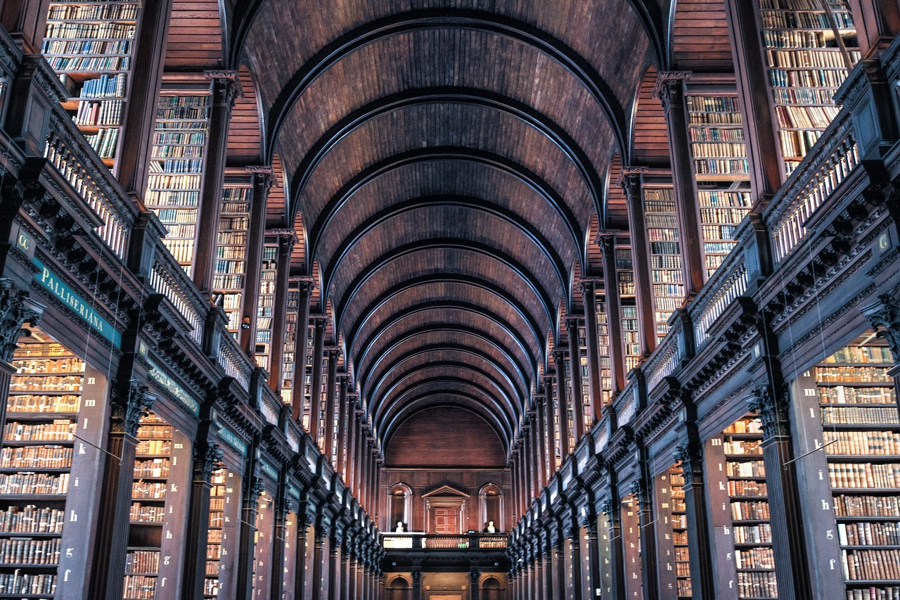 A library with many bookshelves with Trinity College Library in the background

AI-generated content may be incorrect.